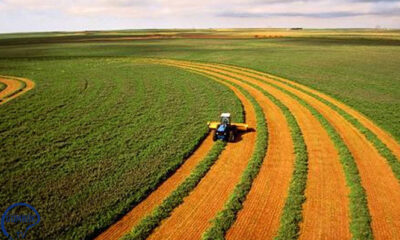 Tarım ürünleri ihracatı 4 milyar 602 milyon dolar