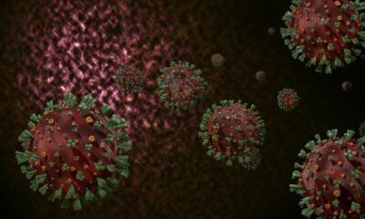 İngiltere’de mutasyona uğrayan koronavirüse kapsamlı araştırma
