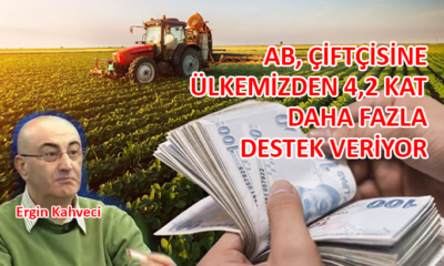 Ergin Kahveci, AB ile tarımsal destekleri karşılaştırdı