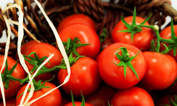 Rusya, Türkiye’den domates ithalat kotasını 50 bin ton artırdı