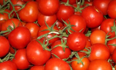 İstanbullular 2020’de en çok domates ve patates tüketti