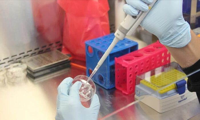 İçişleri Bakanlığı’ndan illere ‘PCR testi’ genelgesi
