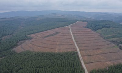 Bursalı 4 bin 92 Çanakkale şehidi için hatıra ormanı oluşturuldu