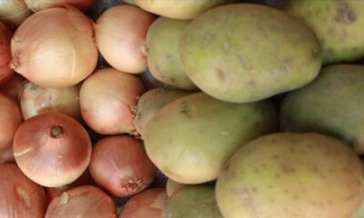 Tarım ve Orman Bakanlığı: TMO’nun patates ve soğan alımlarında miktar sınırlaması olmayacak