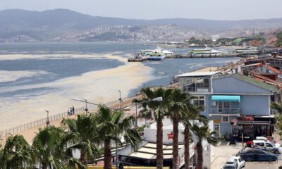 Mudanya Belediyesi, deniz salyasına karşı mücadele başlattı