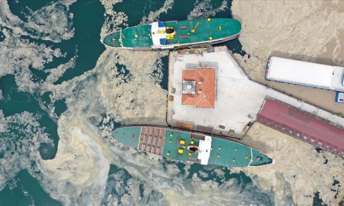 Marmara Denizi’nde salya tehlikesi sürüyor