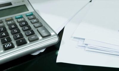 10 soruda ‘gelire endeksli devlet iç borçlanma senedi’