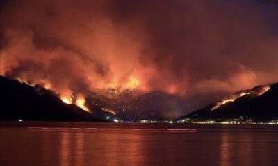 Orman yangını alanları ‘Afet Bölgesi’ ilan edildi