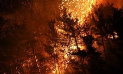 İçişleri Bakanlığından orman yangınlarına ilişkin genelge