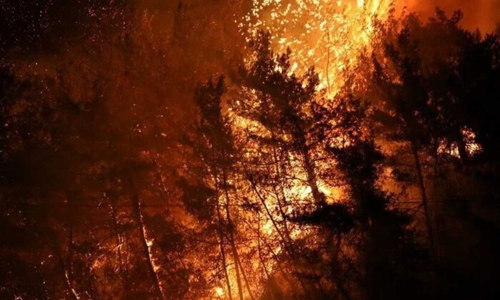 Orman yangınları, yerküreyi etkisi altına aldı