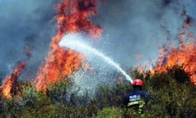 47 ilde 209 orman yangını kontrol altına alındı