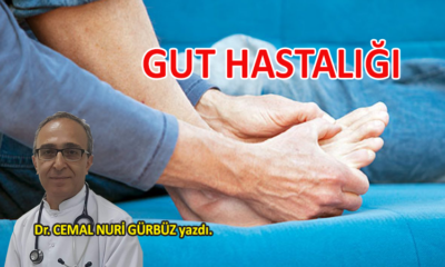 Gut hastalığı