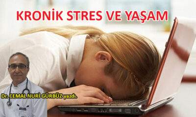 Kronik stres ve yaşam