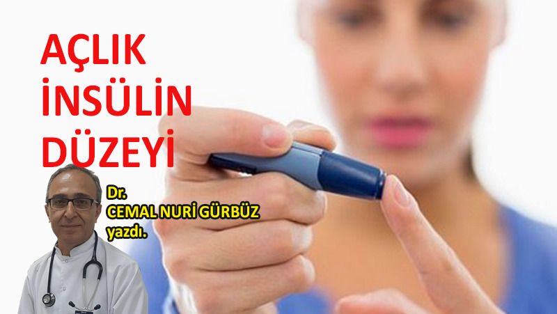 Açlık insülin düzeyi