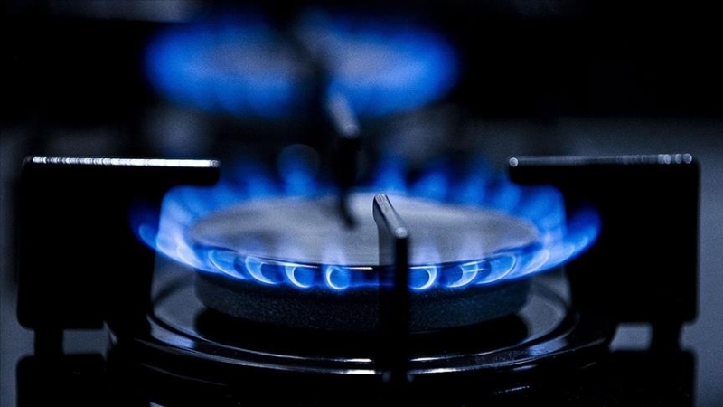 Bakan Dönmez: Isınma yardımına doğal gaz da dahil