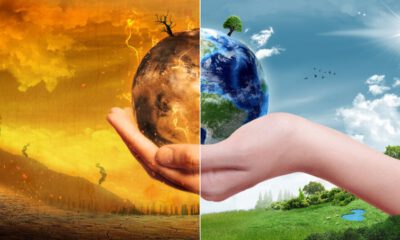 İklim değişikliği hayatımızı nasıl etkiliyor?