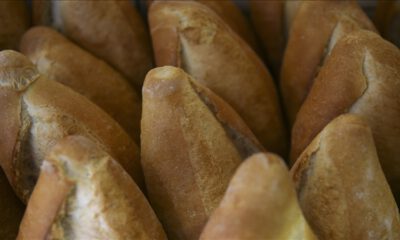 Ekmeği, Rusya-Ukrayna savaşı daha pahalı hale getiriyor