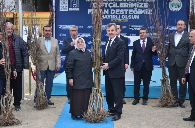 Kelesli üreticiye meyve fidanı ve yem tohumu desteği