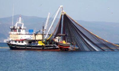 Bakanlıktan flaş karar: Karadeniz’de balık avı yasaklandı