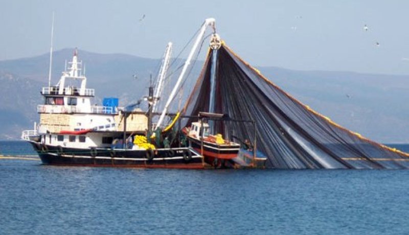 Bakanlıktan flaş karar: Karadeniz’de balık avı yasaklandı