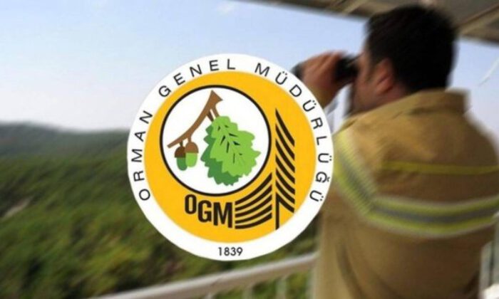 Orman Genel Müdürlüğü 5 bin geçici işçi alacak