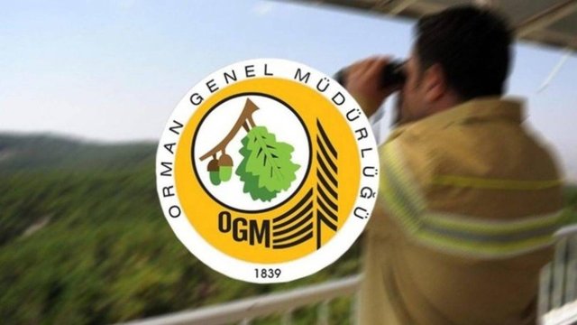 Orman Genel Müdürlüğü 5 bin geçici işçi alacak