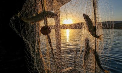 Balıkçılıkta av sezonu yasağı yarın başlıyor