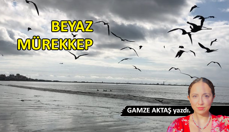 Beyaz Mürekkep