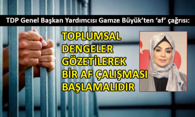 TDP Genel Başkan Yardımcısı Büyük’ten ‘af’ çağrısı geldi