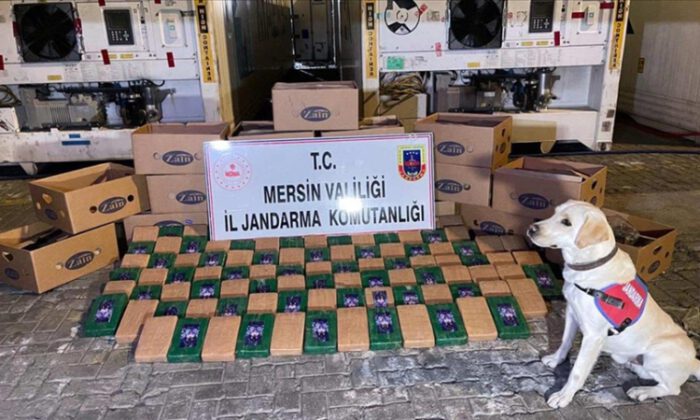 Bakan Soylu: Mersin Limanı’nda 258 kg kokain yakalandı