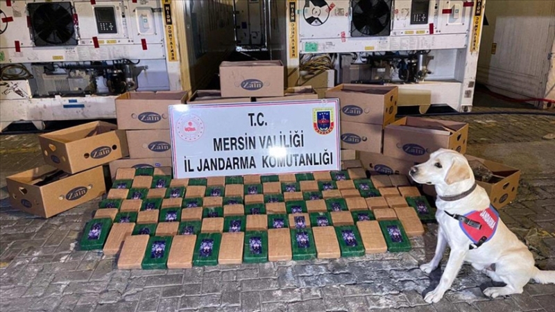 Bakan Soylu: Mersin Limanı’nda 258 kg kokain yakalandı