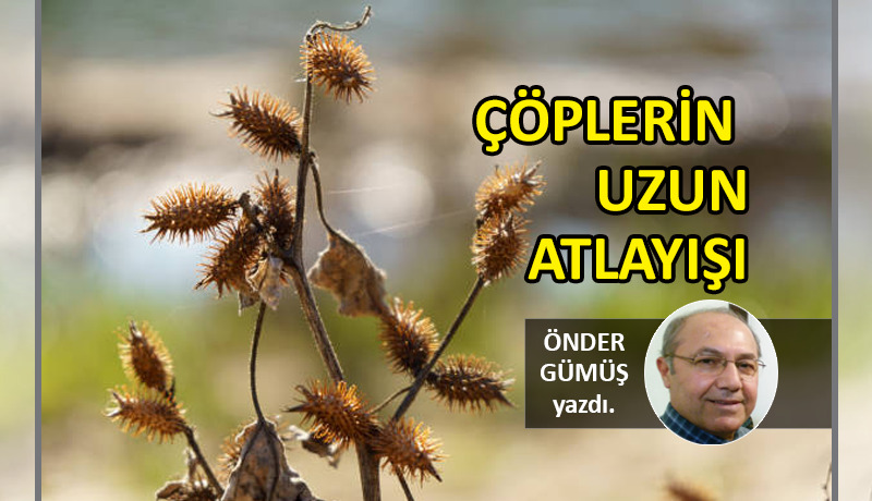 Çöplerin Uzun Atlayışı