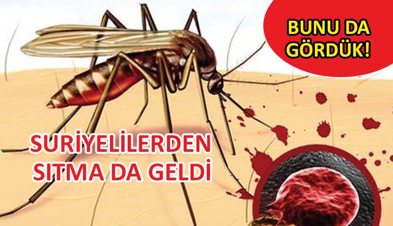 Yurt dışı kaynaklı sıtma vakalarında artış