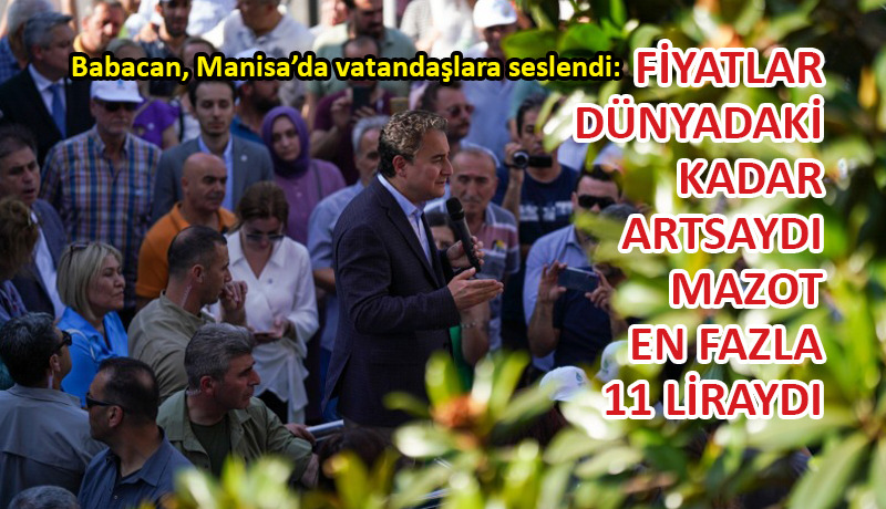 Babacan: Bu ülkeyi artık yönetemiyorlar!