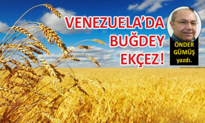 Venezuela’da buğdey ekçez!