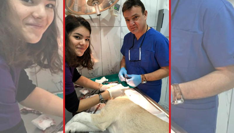 DOHADERN üyelerinden, yangından ve selden etkilenen doğa canlılarına destek