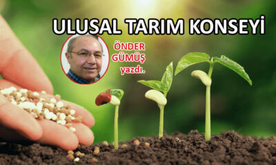 Ulusal Tarım Konseyi