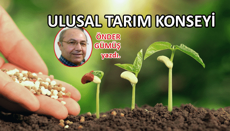 Ulusal Tarım Konseyi