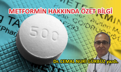 Metformin hakkında özet bilgi