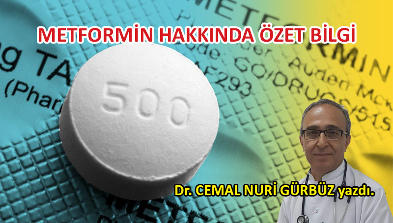 Metformin hakkında özet bilgi