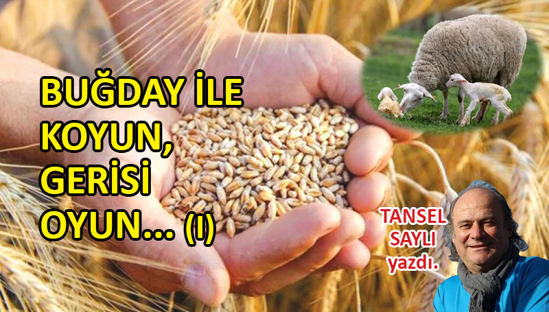 Buğday ile koyun, gerisi oyun… (ı)