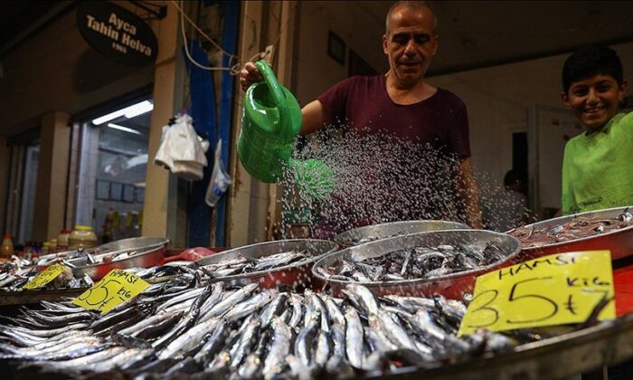 Balıkçı tezgahlarında çeşit arttı, fiyat düştü