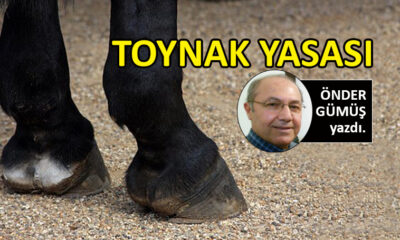 Toynak Yasası