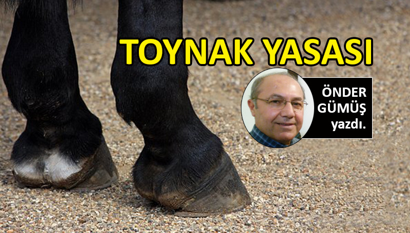Toynak Yasası