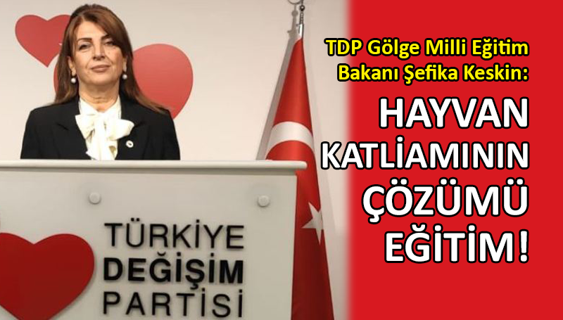 TDP’li Şefika Keskin’den eğitimde ‘müfredat’ vurgusu