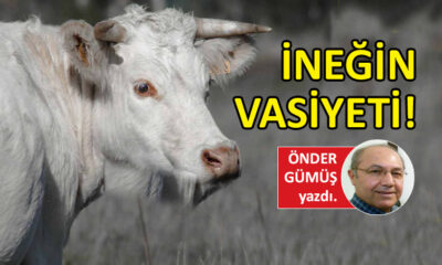 İneğin Vasiyeti!