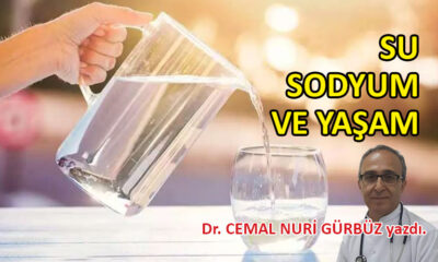 Su, sodyum ve yaşam