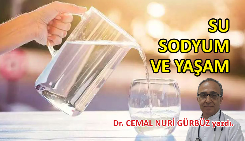 Su, sodyum ve yaşam