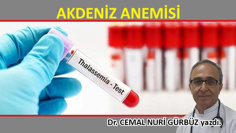 Akdeniz Anemisi