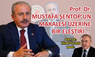 Prof. Dr. Mustafa Şentop’un Makalesi Üzerine Bir Eleştiri